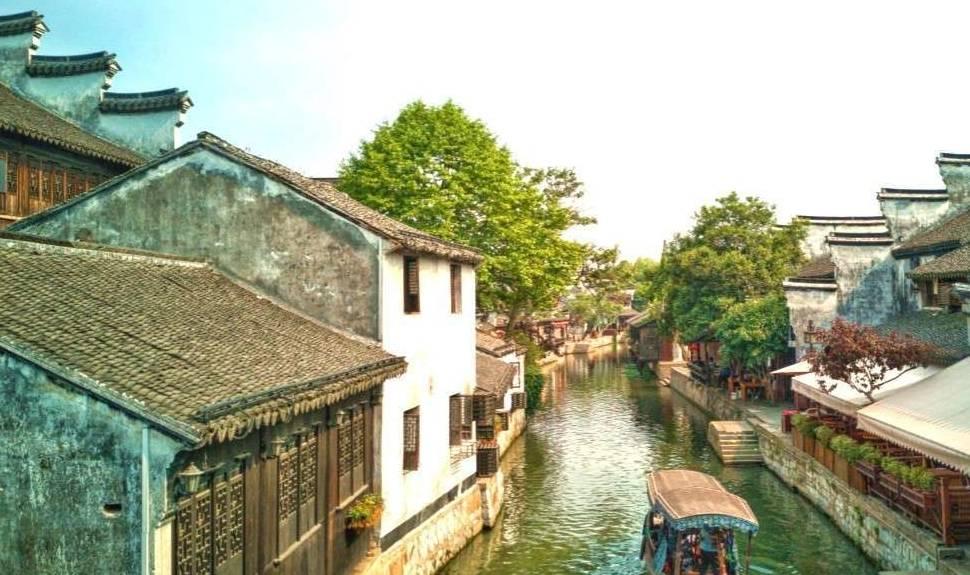 逃离橡子树种植地